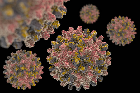 乙肝病毒。乙型肝炎病毒 Hbv Pdb 1qgt 的结构, 属 Orthohepadnavirus 属的一种, 属 He