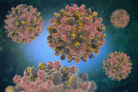 乙肝病毒。乙型肝炎病毒 Hbv Pdb 1qgt 的结构, 属 Orthohepadnavirus 属的一种, 属 He