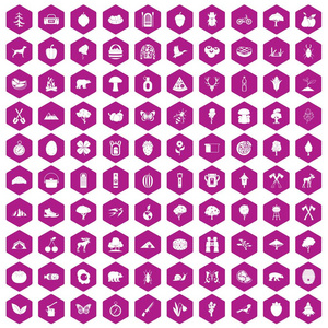 100野营和自然图标六角紫色