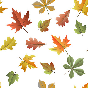 明亮多彩的无缝图案与秋叶。向量