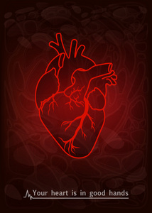 心脏解剖图像与题字的海报