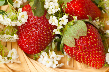 草莓用柳条盘子里的花