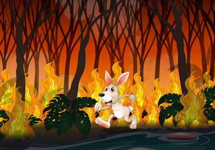 在野火图中奔跑的兔子
