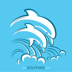 两只海豚.家长和,根据矢量符号图照片