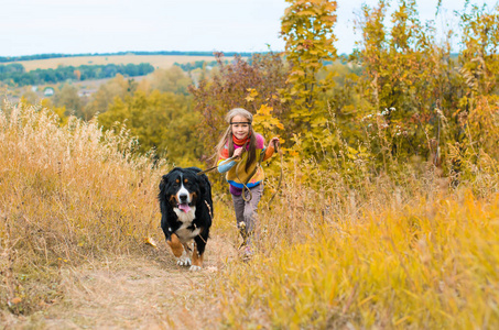 女孩奔跑与大狗在秋天草甸散步