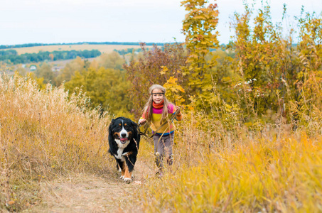 女孩奔跑与大狗在秋天草甸散步