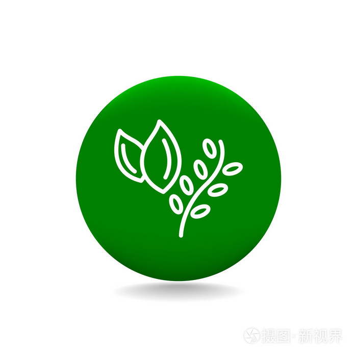 草本植物食品图标