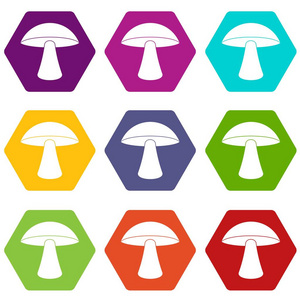 桦木蘑菇图标集彩色六面体