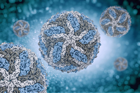 登革热病毒的结构 pdb 3zko照片