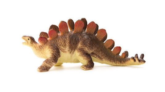 儿童用品玩具在白色背景上侧视图棕色剑龙玩具照片