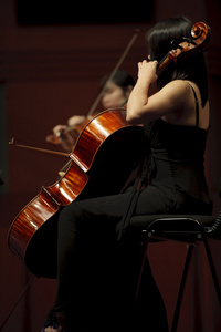 在室内乐音乐会上的大提琴手图片