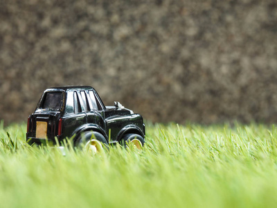在绿色草地上的黑色玩具车公园图片