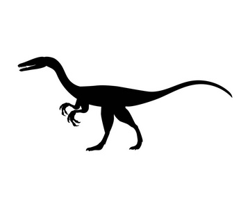 Coelophysis 剪影恐龙侏罗纪史前动物