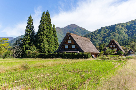 传统的白川乡村