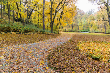 波兰华沙公园秋季景观