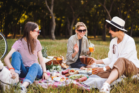 一群美丽的女孩坐在野餐毯愉快地花时间一起在美丽的野餐公园照片