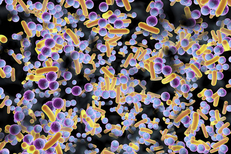 生物被膜的耐抗生素细菌图片
