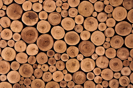 圆的柚木木材树桩背景照片