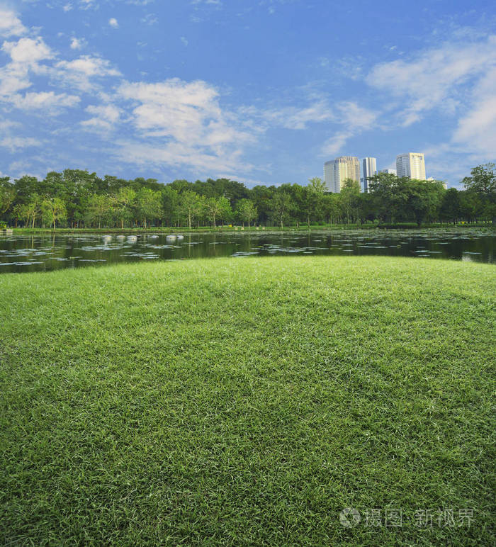 绿色草地与湖泊和树木在公共城市公园, 自然背景