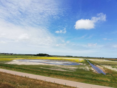 Texel, 荷兰的一个小岛