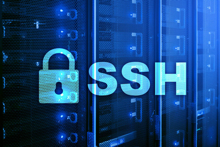 Ssh, 安全的外壳协议和软件。数据保护互联网和电信概念