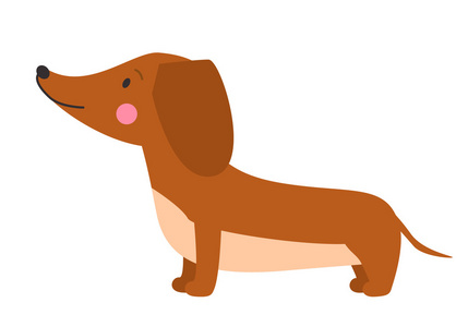 可爱的狗dachshund的插图