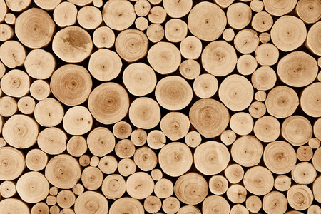 圆的柚木木材树桩背景照片
