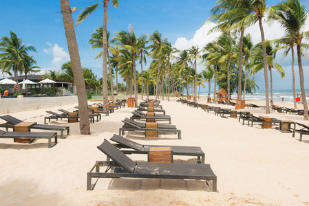 美丽的自然热带海滩和海与椅子和椰子棕榈树在天堂海岛为旅行假期
