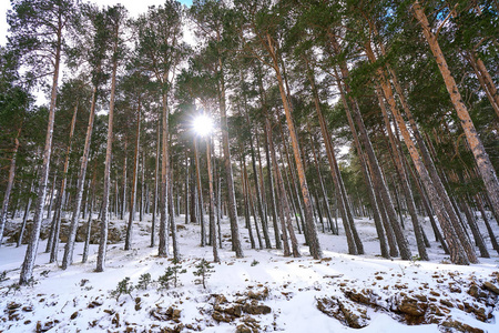 西班牙特鲁埃尔 Valdelinares 雪滑雪区