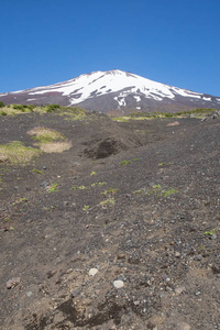 顶部的富士山雪与富士山自然休闲森林步道在春天