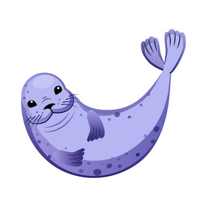 柳毛皮海豹图片