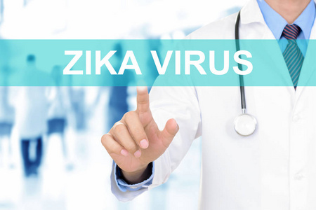 医生用手抚摸 Zika 病毒在虚拟屏幕上的选项卡