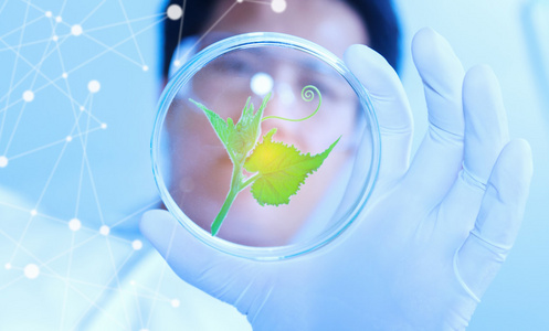 生态科学图片-生态科学素材-生态科学插画-摄图新视界