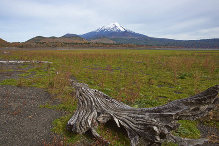 火山亚 Conguillio 国家公园