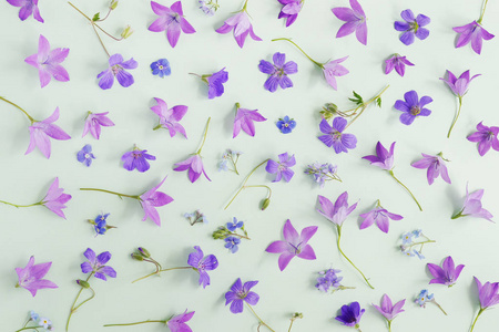 淡绿色背景下 bellflowers 和紫罗兰色的无缝图案