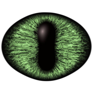 灯泡的眼睛图片