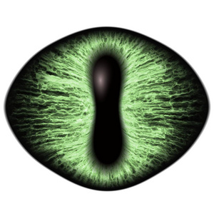 奇怪的绿眼睛的色的虹膜的猫科动物.