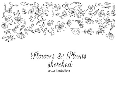 由花组成的框架。手绘花, 草绘花卉, 黑白, 单色。矢量插图
