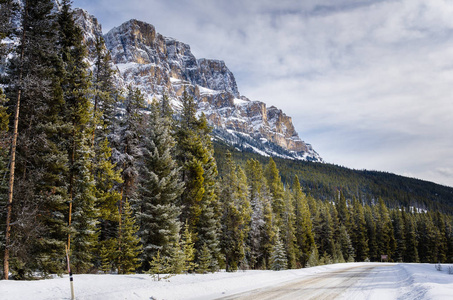 积雪的路上，在一个冬天阴天的雄伟山风景