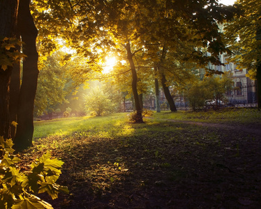 秋天公园在早晨。乌克兰利沃夫2016年10月