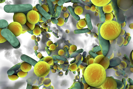 抗生素抗性生物被膜的耐抗生素细菌照片