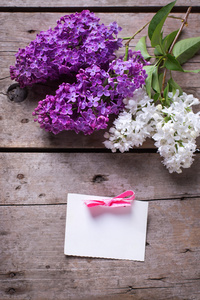 淡紫色的花和空标记图片