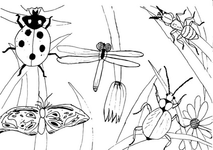 孩子风格墨迹绘图草甸对象 植物 花 草 昆虫 手绘矢量图