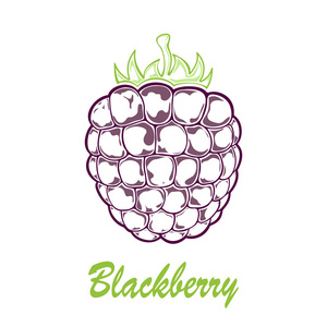 成熟的黑莓图标
