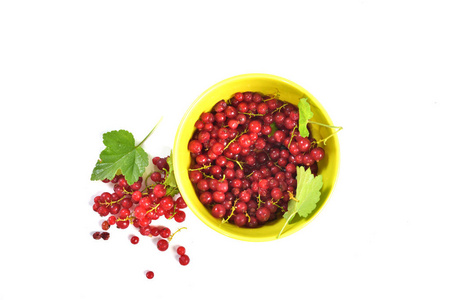 浆果红 berry.leaf.fresh 浆果. 美丽的浆果. 花园 berries.natural.currant