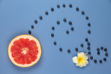 柑橘类水果，蓝莓小枝单字母