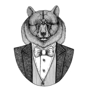 黑熊美洲黑熊报社 野猪 猪 野猪 猪 时髦动物手绘制的图像的纹身 标志 徽章 标志 修补程序 t 恤
