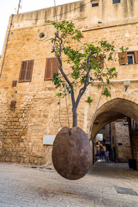 在以色列特拉维夫附近的雅各或特拉维夫的古老街道上悬挂橙色树