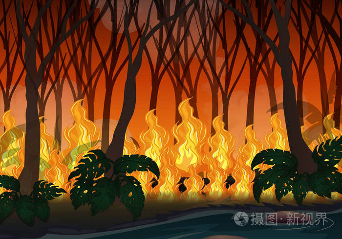 森林大火灾害的例证