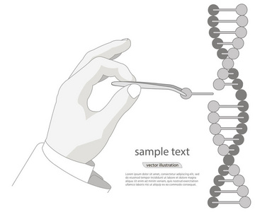 人工基因工程。用裸手镊子操纵 Dna 双螺旋。在白色背景上的向量。海报封面标签贴纸名片